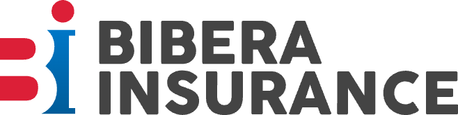 Bibera Insurance